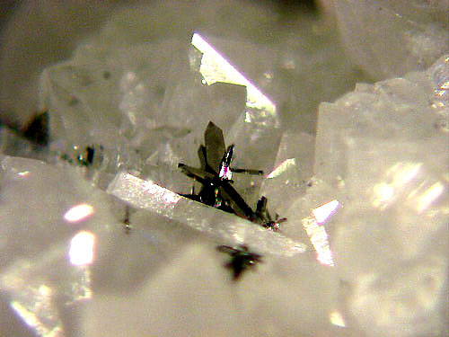 arsenopyrte1_500.jpg